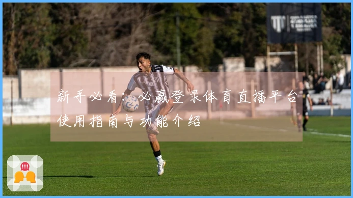 新手必看:必赢登录体育直播平台使用指南与功能介绍