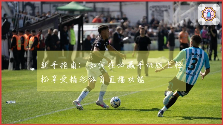 新手指南：如何在必赢手机版上轻松享受精彩体育直播功能