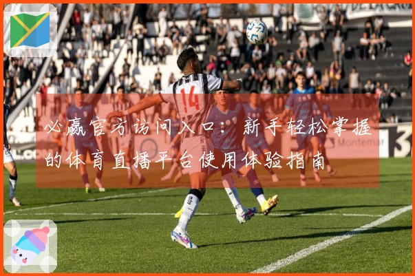 必赢官方访问入口：新手轻松掌握的体育直播平台使用体验指南