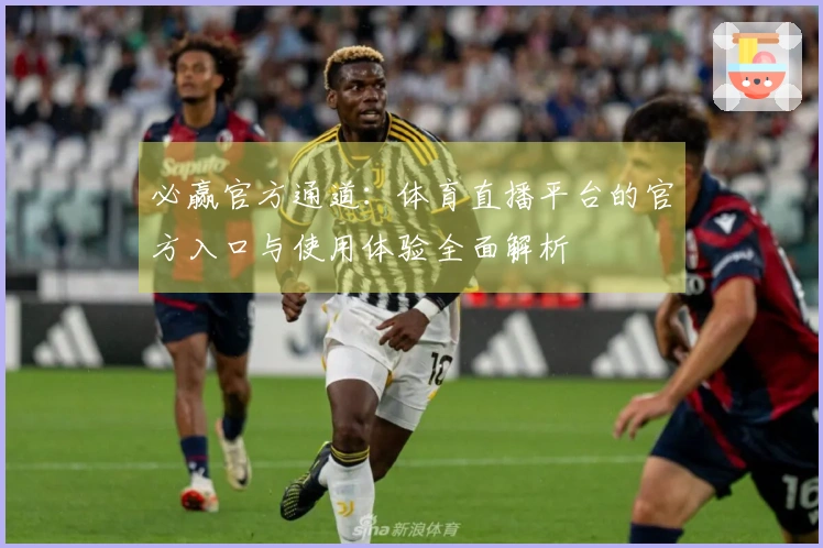 必赢官方通道：体育直播平台的官方入口与使用体验全面解析